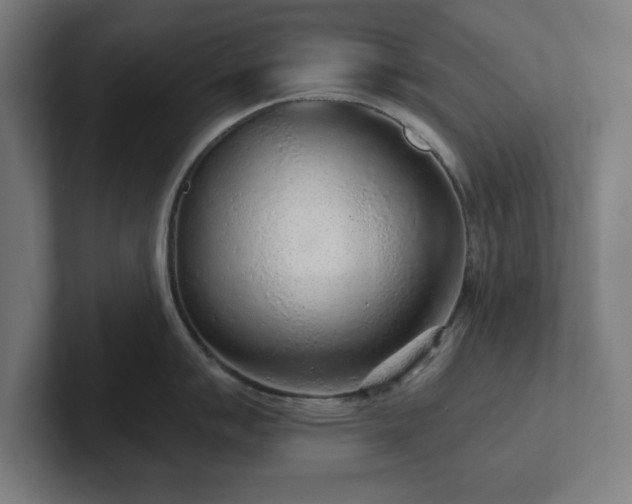 X0000102311007200808011419