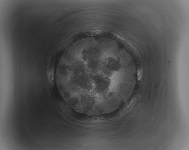 X0000102311011200808011418