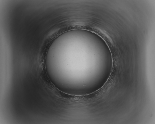 X0000102311015200808011418