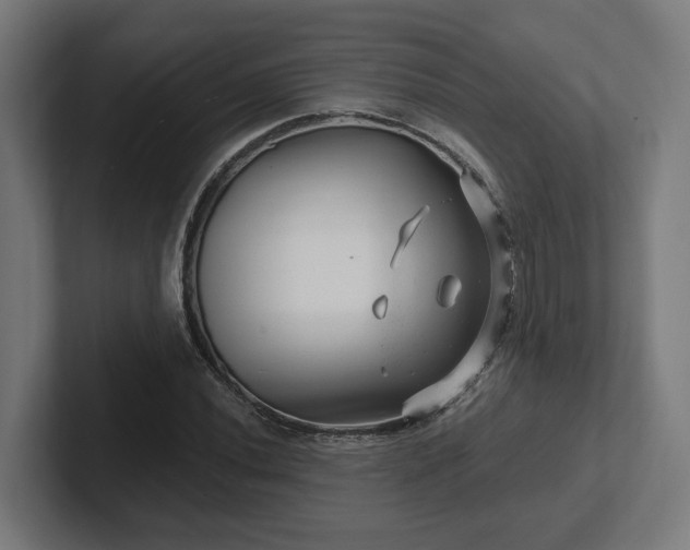 X0000102311020200808011418