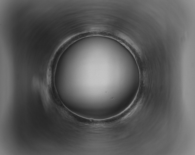 X0000102311021200808011418