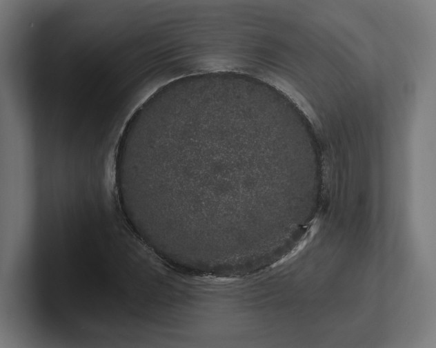 X0000102311023200808011418