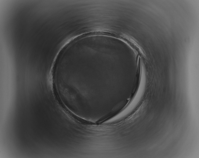 X0000102311024200808011418