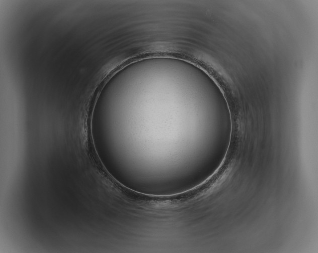 X0000102311025200808011418