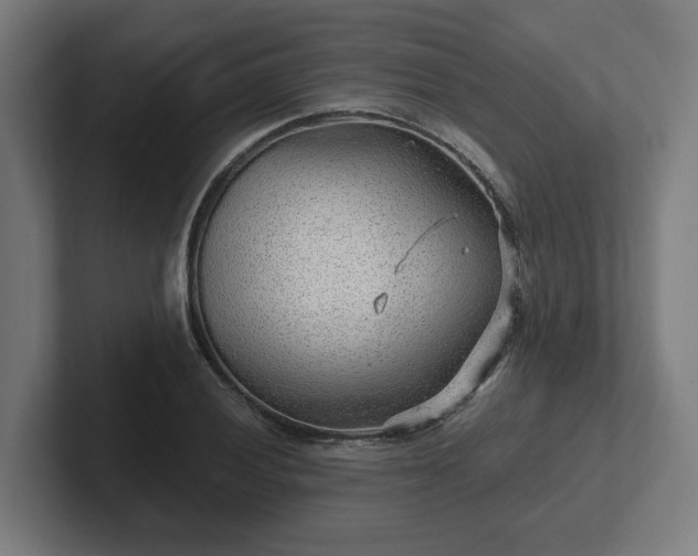 X0000102311028200808011418