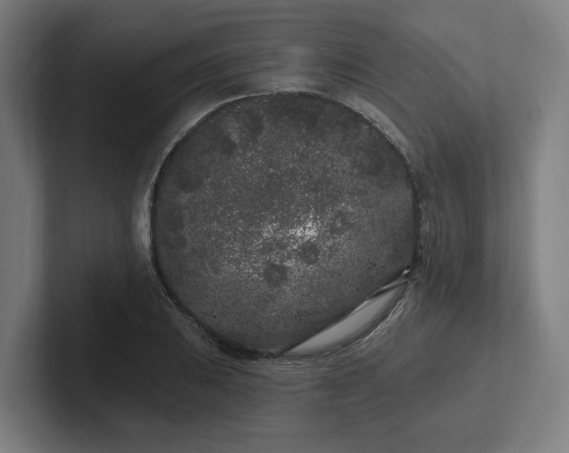 X0000102311031200808011418