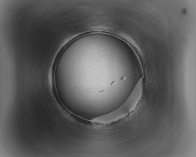 X0000102311032200808011418