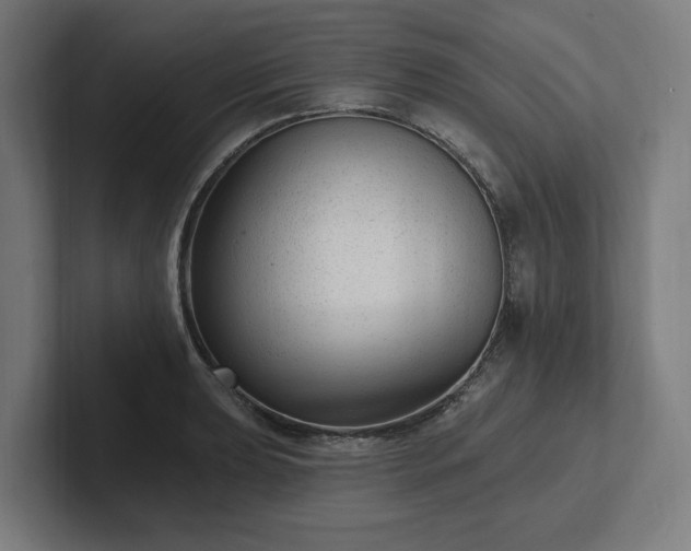 X0000102311039200808011419