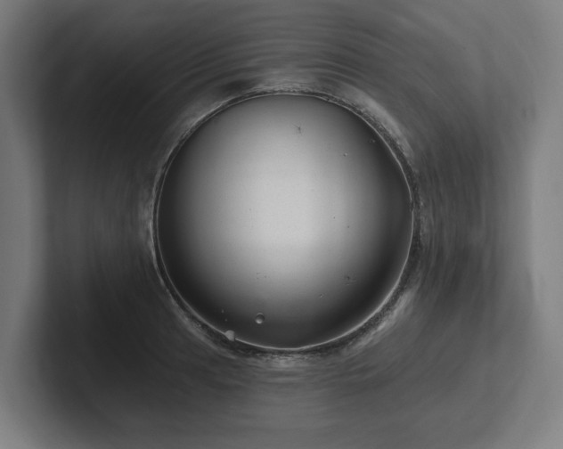 X0000102311041200808011419