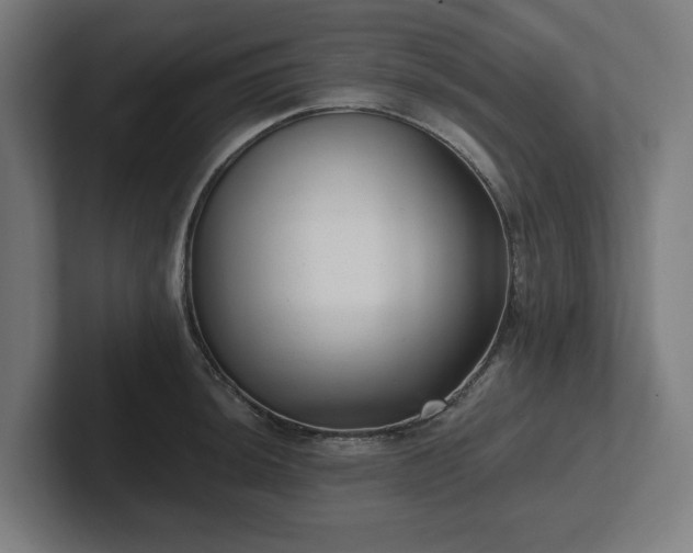 X0000102311044200808011419