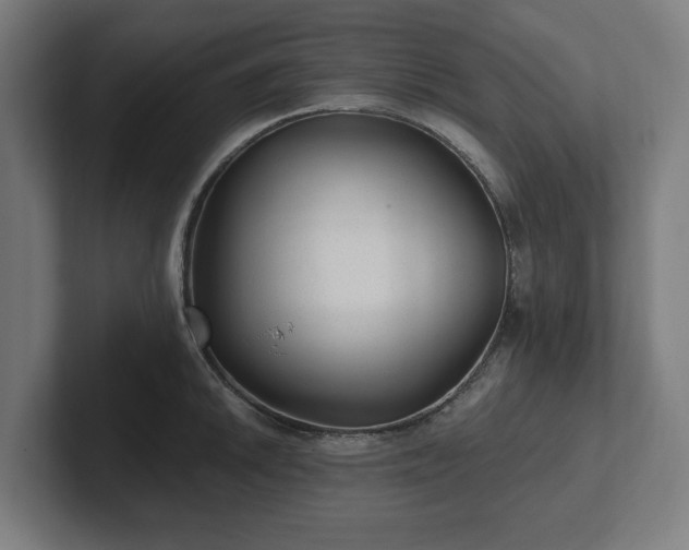 X0000102311046200808011419