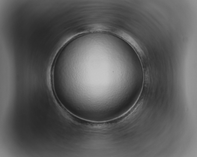 X0000102311047200808011419