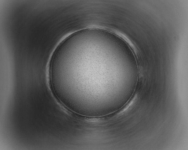 X0000102311048200808011419