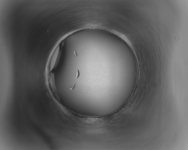 X0000102311056200808011419