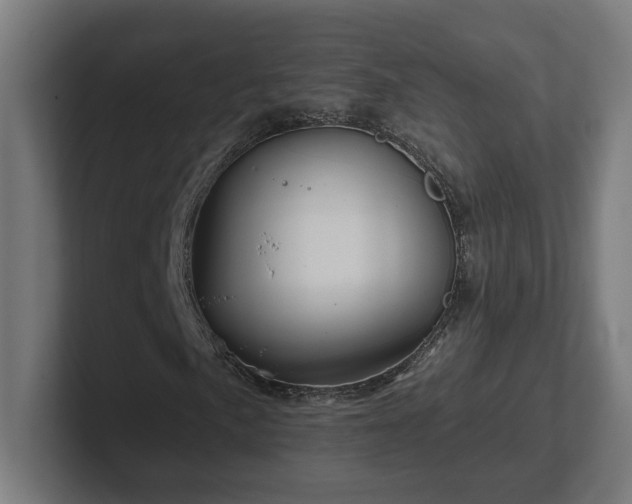 X0000102311057200808011418