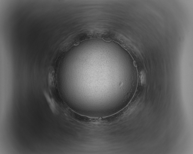 X0000102311059200808011418