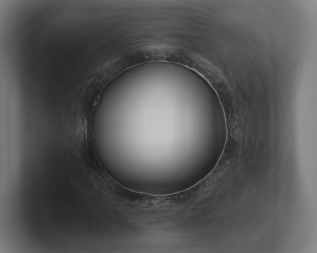 X0000102311061200808011418