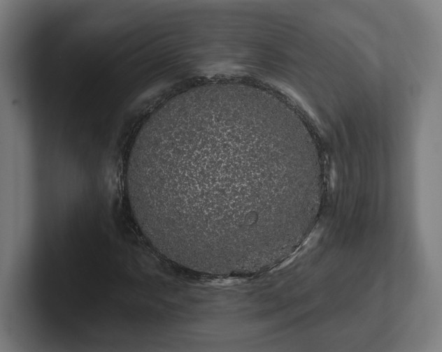 X0000102311063200808011418