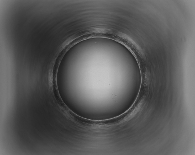 X0000102311065200808011418