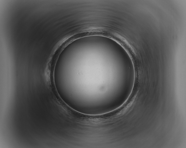 X0000102311066200808011418