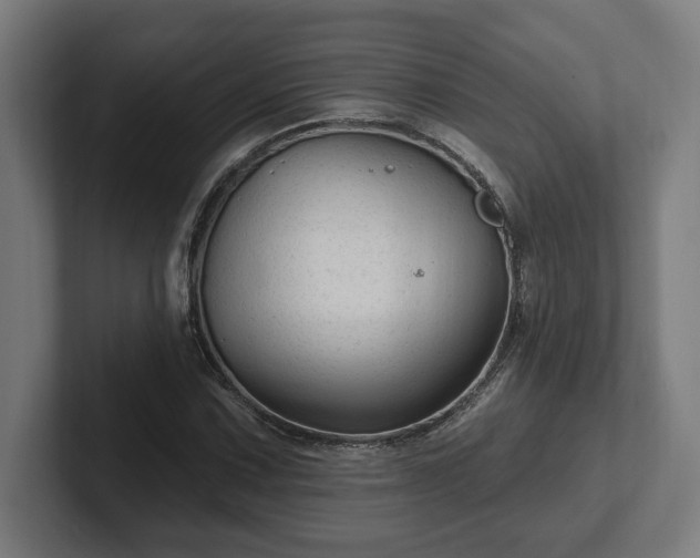 X0000102311067200808011418