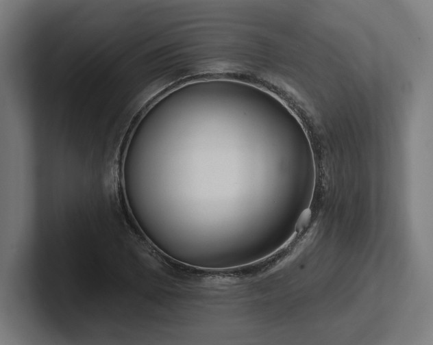 X0000102311073200808011418