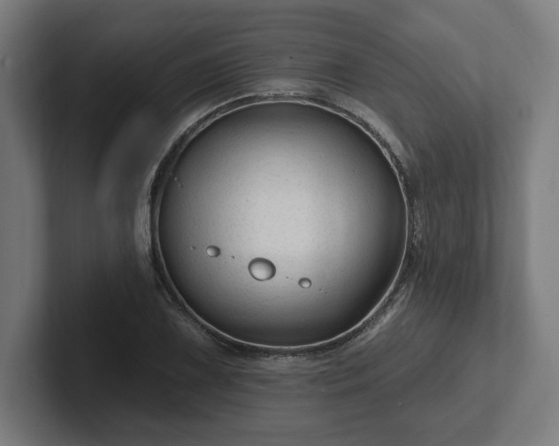 X0000102311075200808011418