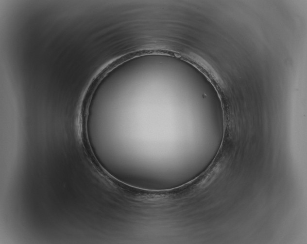 X0000102311076200808011418