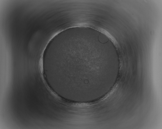 X0000102311079200808011418