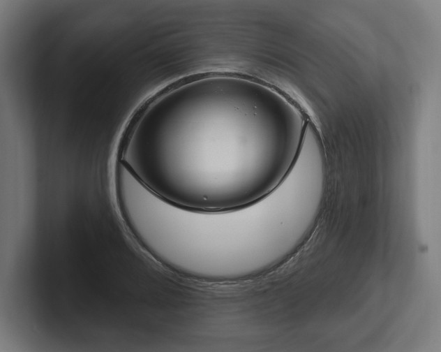 X0000102311080200808011418