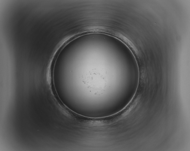 X0000102311082200808011418