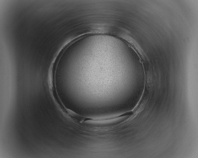 X0000102311083200808011418