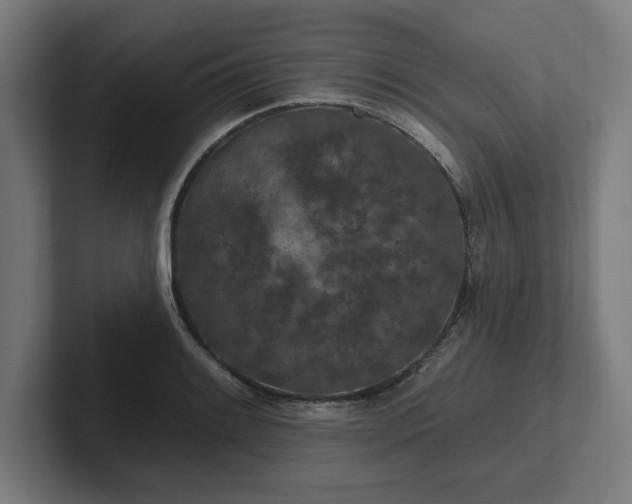 X0000102311084200808011418