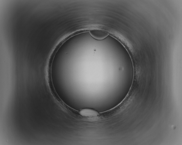 X0000102311085200808011418