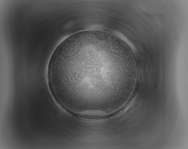 X0000102311087200808011418