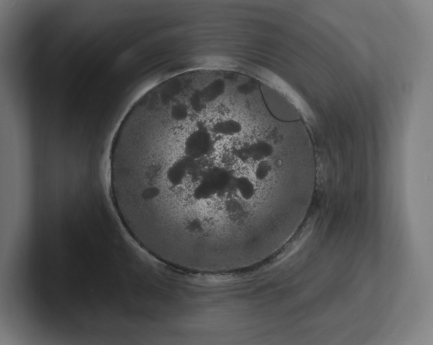 X0000102311095200808011418