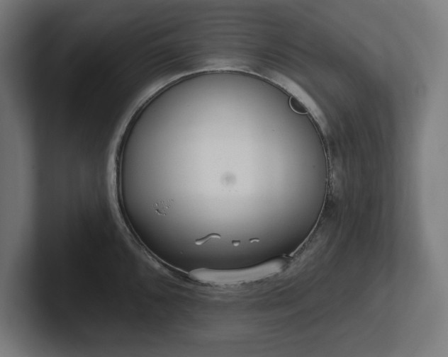 X0000102311096200808011418