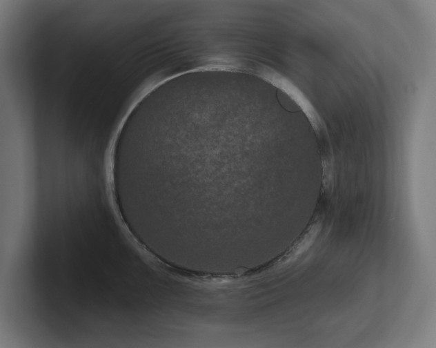 X0000102311099200808011418