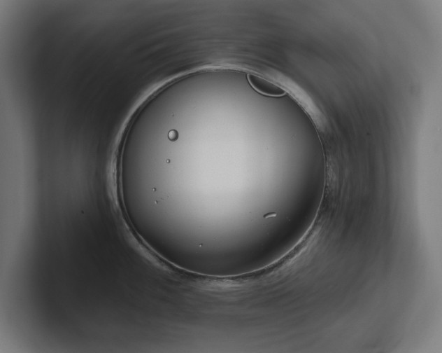 X0000102311100200808011418