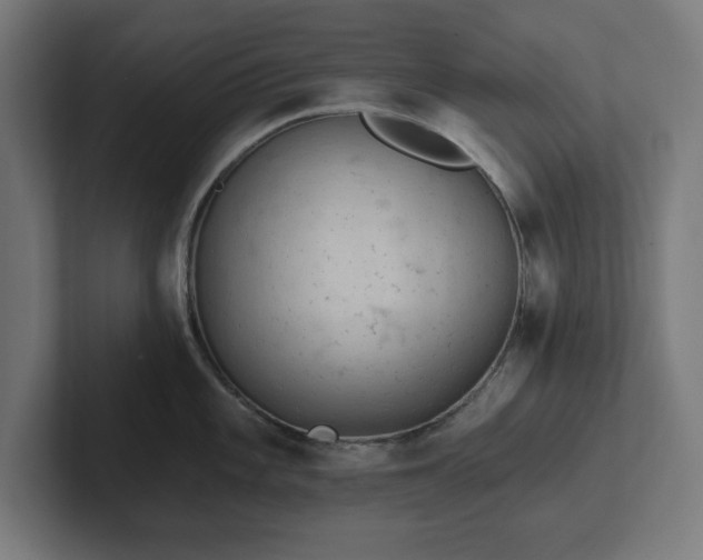 X0000102311101200808011418