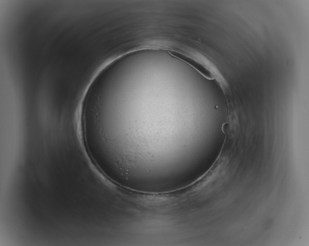 X0000102311103200808011418