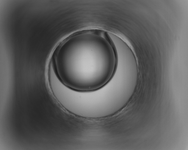 X0000102311104200808011418