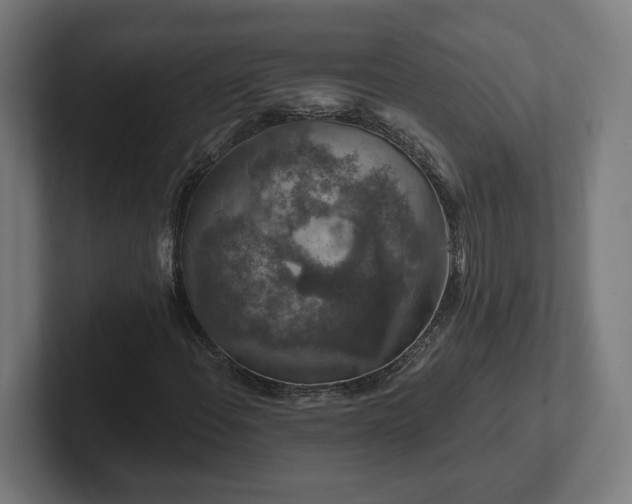 X0000102311108200808011417