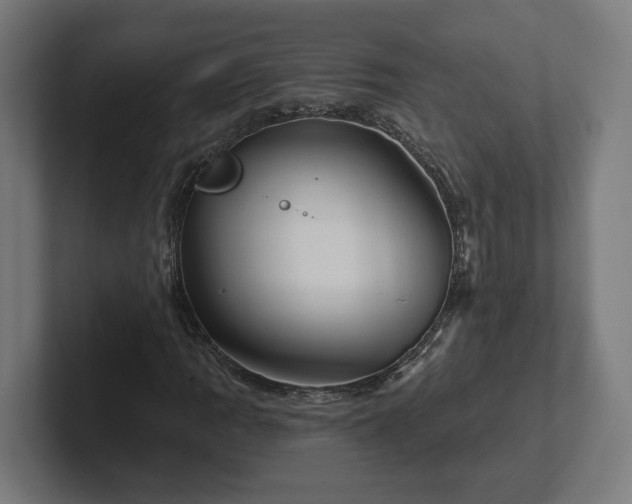 X0000102311109200808011417