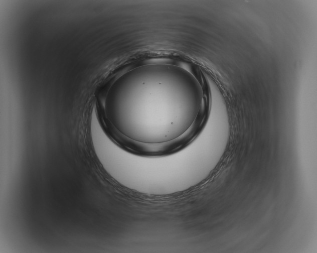 X0000102311110200808011417