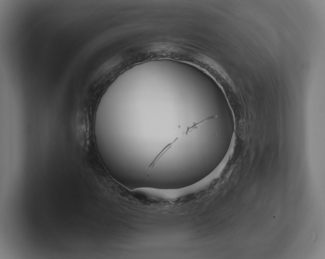 X0000102311111200808011417