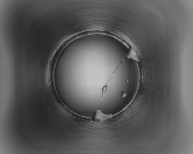 X0000102311116200808011417