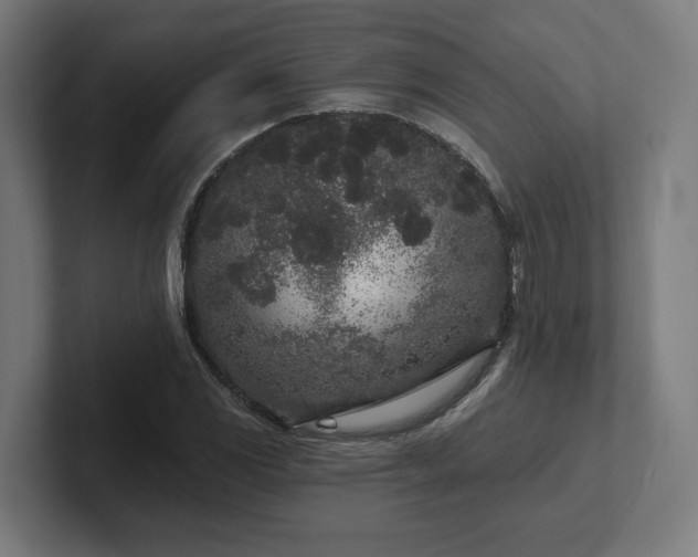 X0000102311117200808011417