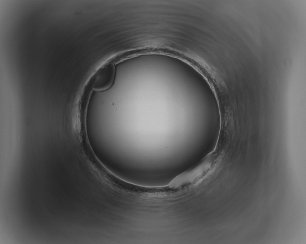 X0000102311118200808011417