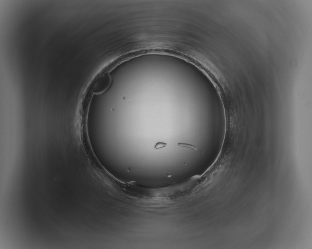 X0000102311119200808011417